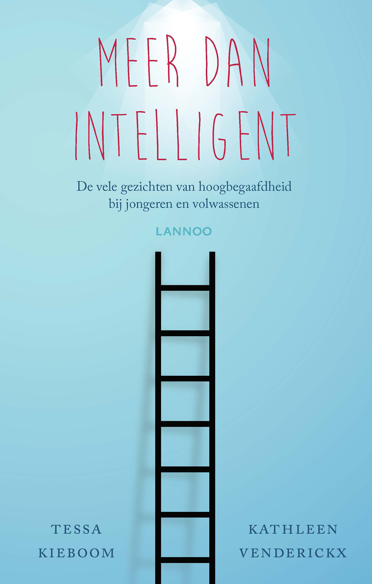 Cover van Meer Dan Intelligent