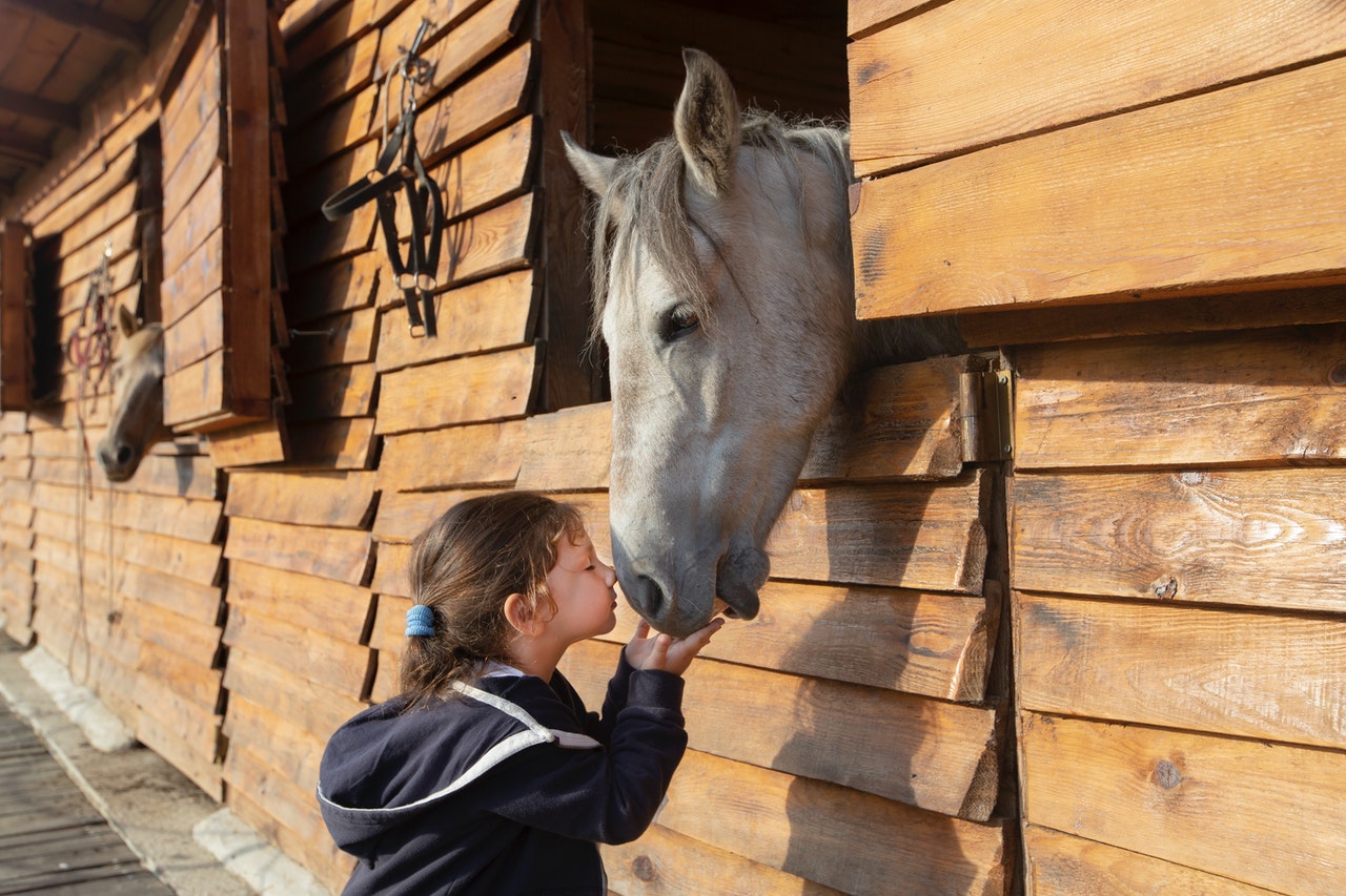 Paard en kind